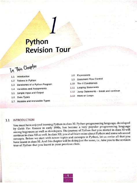 Python Revision に対する画像結果