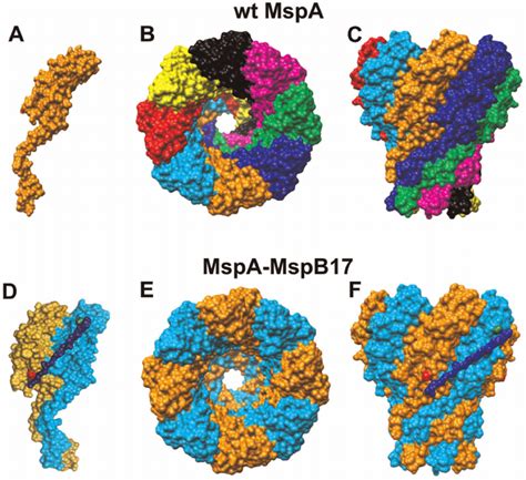 Image result for MSPA Controler Diagram