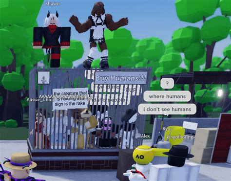 Image result for 2017 Roblox Players