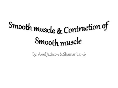 Contraction of Smooth Muscle に対する画像結果
