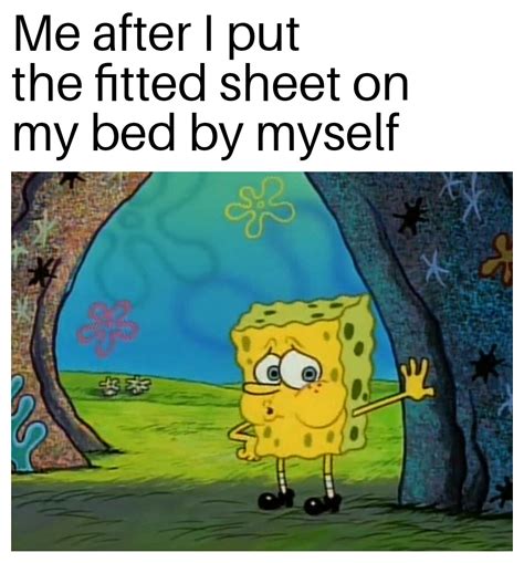 Image result for Flexi Sheet Meme