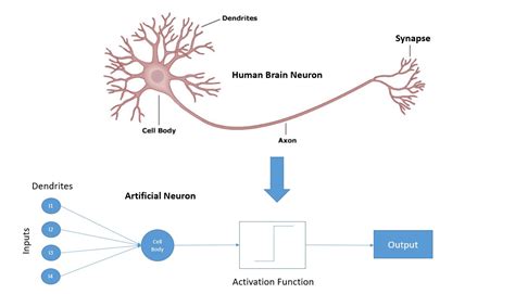 Image result for What Are the Lines Which Connect Neuron in Deep Learning