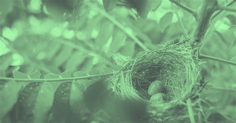 Image result for Nested List Comprehension Python