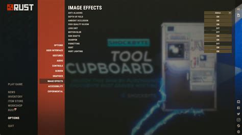 Image result for How to Run Rust in Direct 9