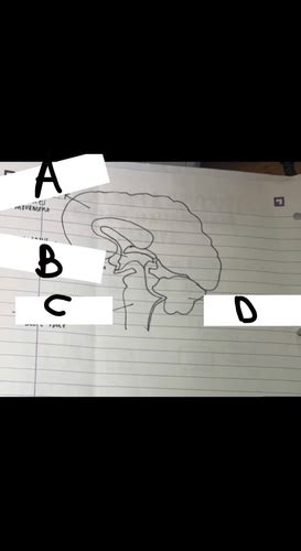 Toradh íomhá ar Function Structure in C