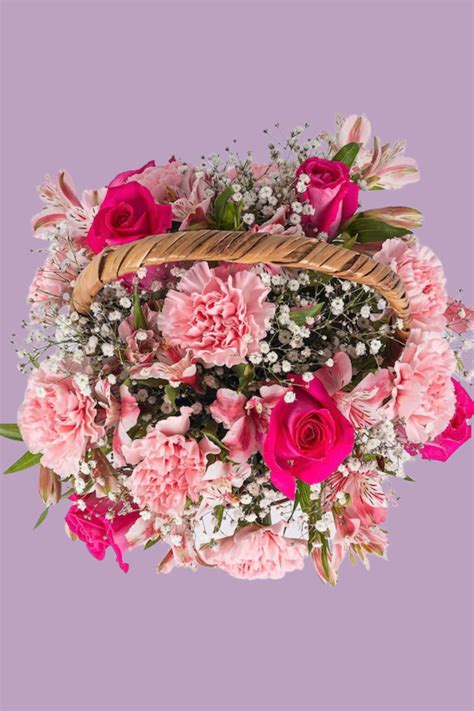 Afbeeldingsresultaten voor Arreglos ENC