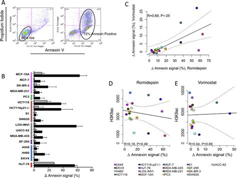 Image result for Annexin Assay