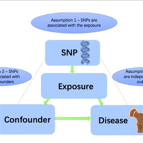 Image result for Mendelian Randomization Studies
