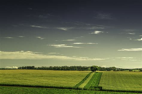 Afbeeldingsresultaten voor Basic jQuery Example