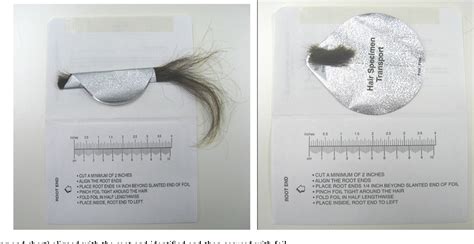 Image result for Hair Sample Drug Test