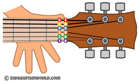 Image result for 12 String Guitar Labeled Diagram
