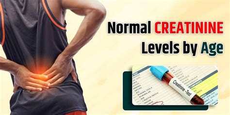 Afbeeldingsresultaten voor Normal Creatinine Levels Chart