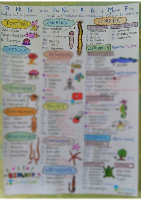 Toradh íomhá ar Classification Flowchart