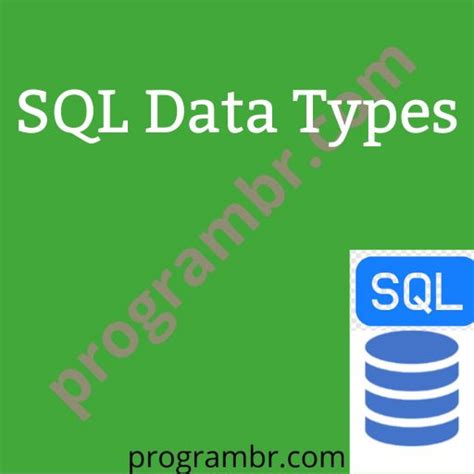 Image result for SQL Data Ttpes
