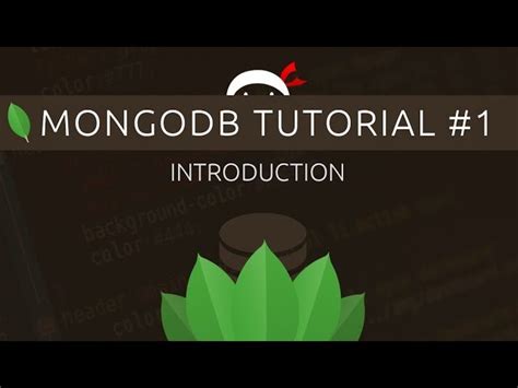 MongoDB Tutorial for Beginners 1에 대한 이미지 결과