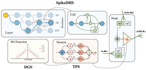Image result for Sparse Coding in Spiking Neural Networks