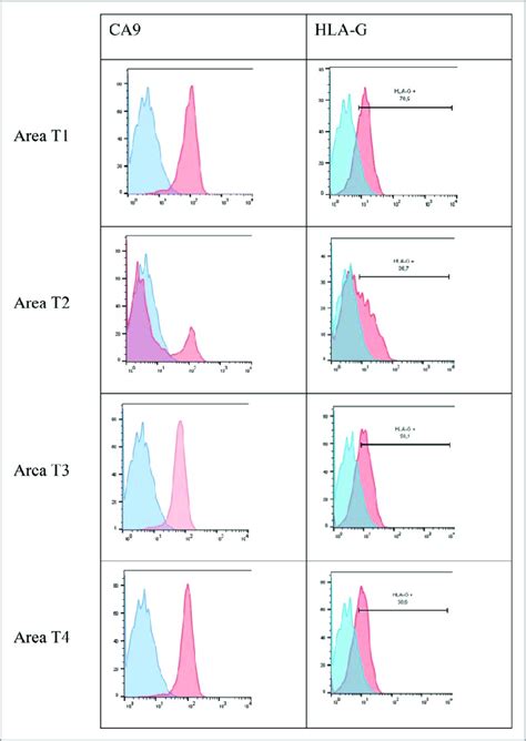 Image result for Flow Cytometry Histogram