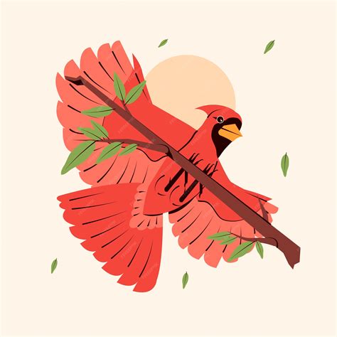Toradh íomhá ar Cardinal Bird Outline Drawing