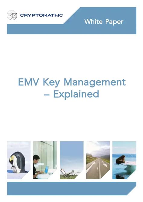 Image result for EMV Explained