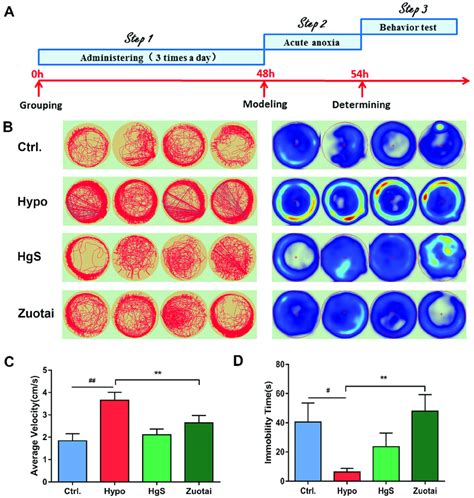 Heatmap Schedule Graph-க்கான படிம முடிவு