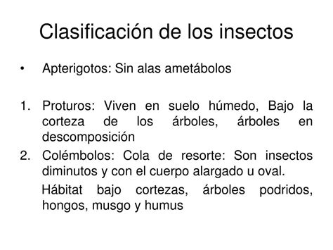 Image result for Estructura De Los Insectos