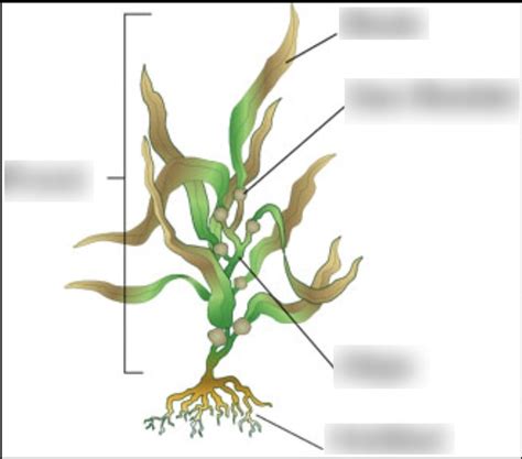What Is a Structure Diagram에 대한 이미지 결과