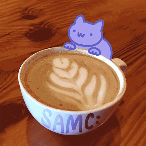 Image result for Cat Sipping Coffee GIF