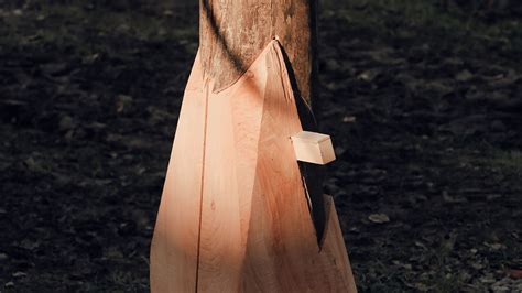 Image result for Tree System Architecture