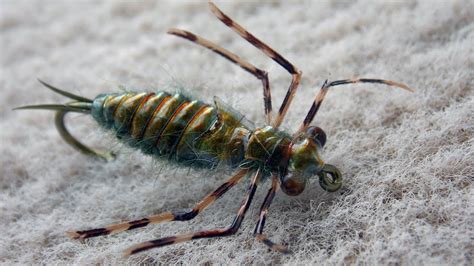 Toradh íomhá ar Dragonfly Patterns Fly Tying