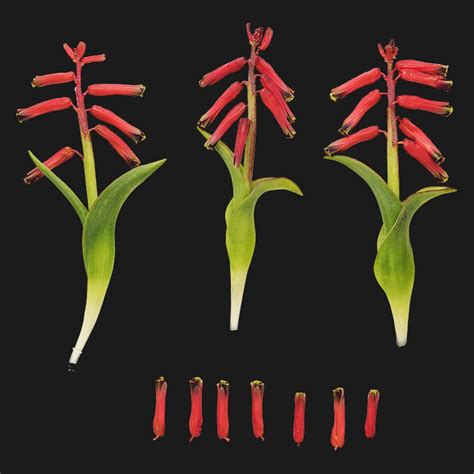 Quixel Logo に対する画像結果