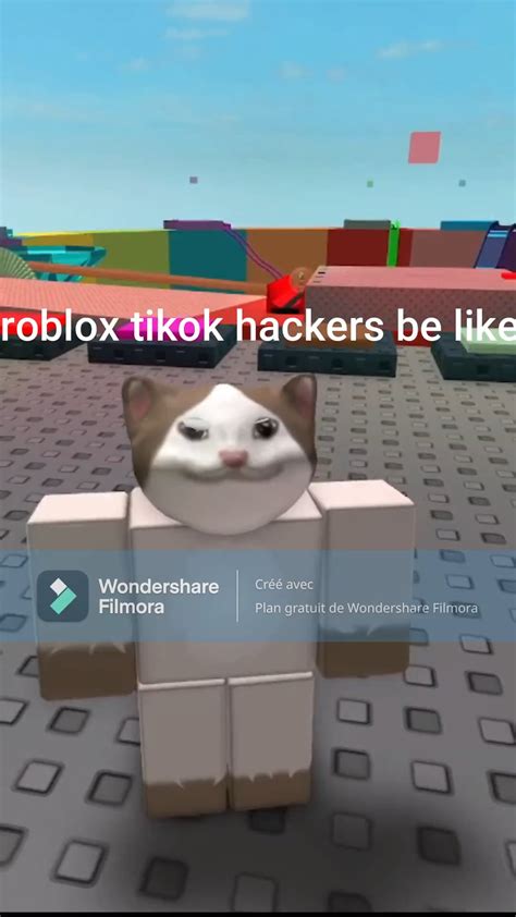 Image result for Fake Roblox Hackers