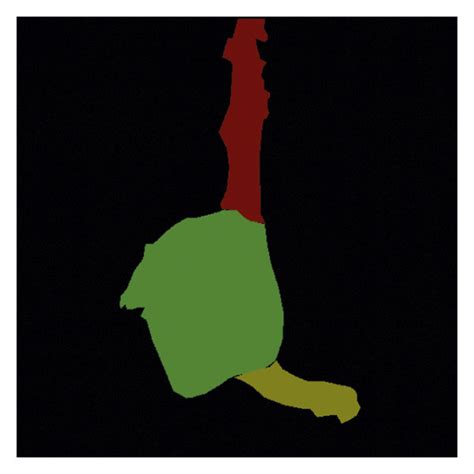 Annotated Images に対する画像結果