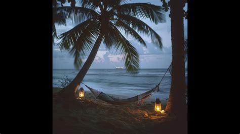 Reggae RnB ಗಾಗಿ ಇಮೇಜ್ ಫಲಿತಾಂಶ