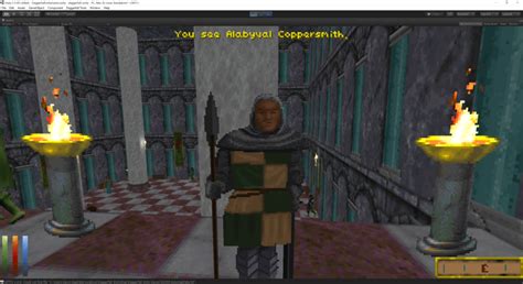 Afbeeldingsresultaten voor Daggerfall NPCs