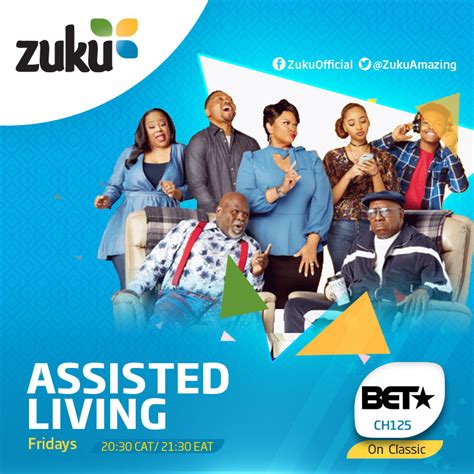 Toradh íomhá ar Types of Zuku Decoder