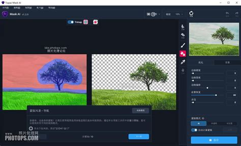 Image result for Topaz Mask AI Version 1.3.9 Tutorial
