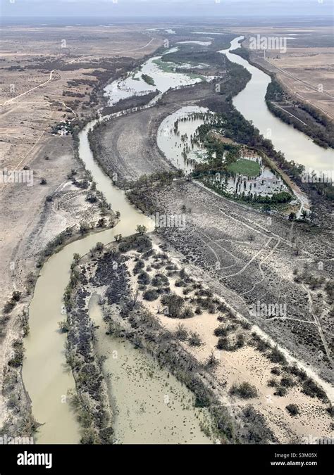 Image result for Murray River Python