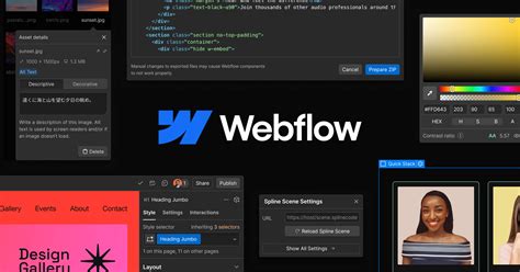 Web Flow Search に対する画像結果