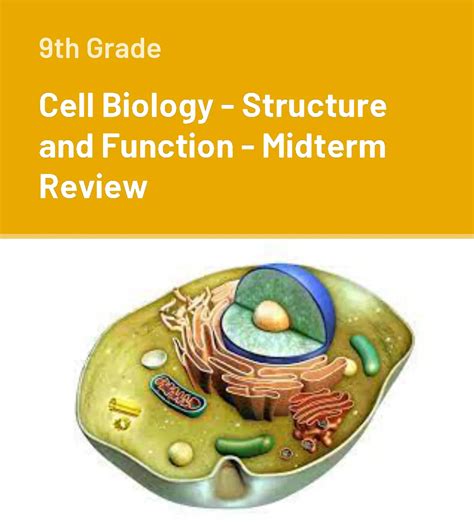Toradh íomhá ar 9th Science Daigrams