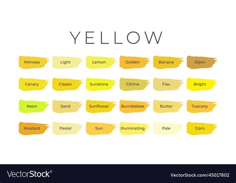 Yellow paint color swatches with shade names on Vector Image