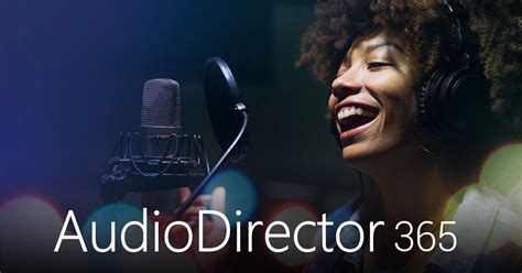 Image result for AudioDirector
