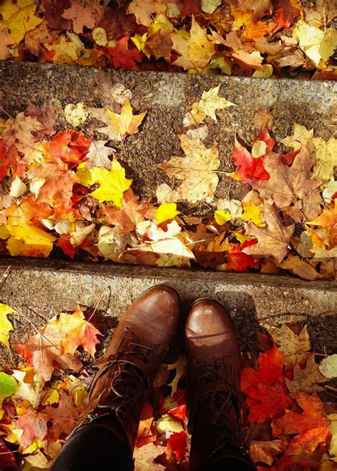 Image result for Fall Seasons