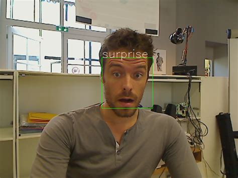 Afbeeldingsresultaten voor Python Face Makeup