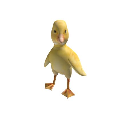 Image result for Grow a Duck Roblox