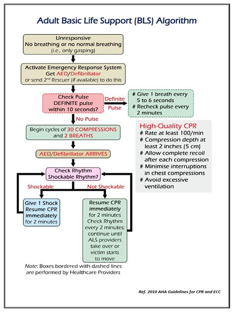 Toradh íomhá ar BLS Pediatric Algorithm 2021