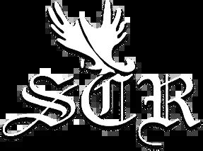 Image result for SCR World School Logo