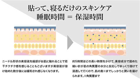 First Principle of Step One in Na に対する画像結果