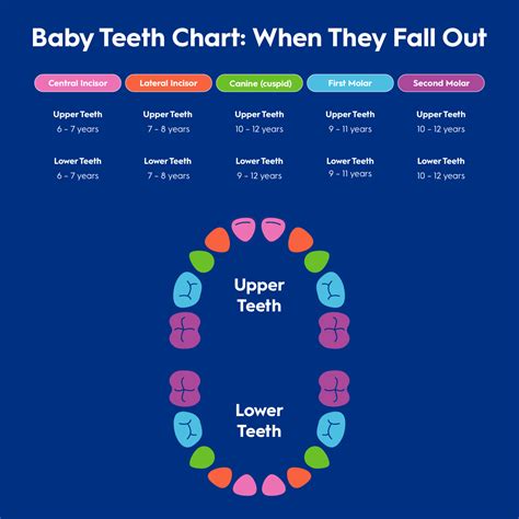 Image result for First Tooth Fall Out