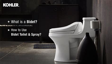 Using Bidet Demonstration に対する画像結果