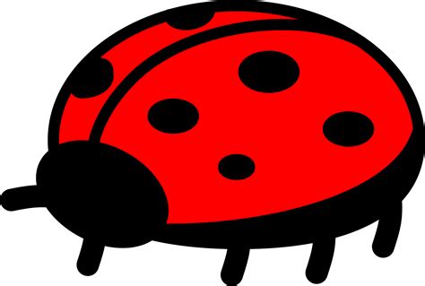 Image result for Clip Art Ladybug